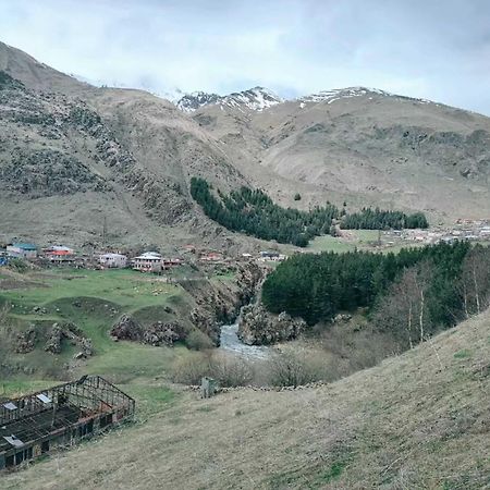 Vardisubani Villa Kazbegi Eksteriør billede