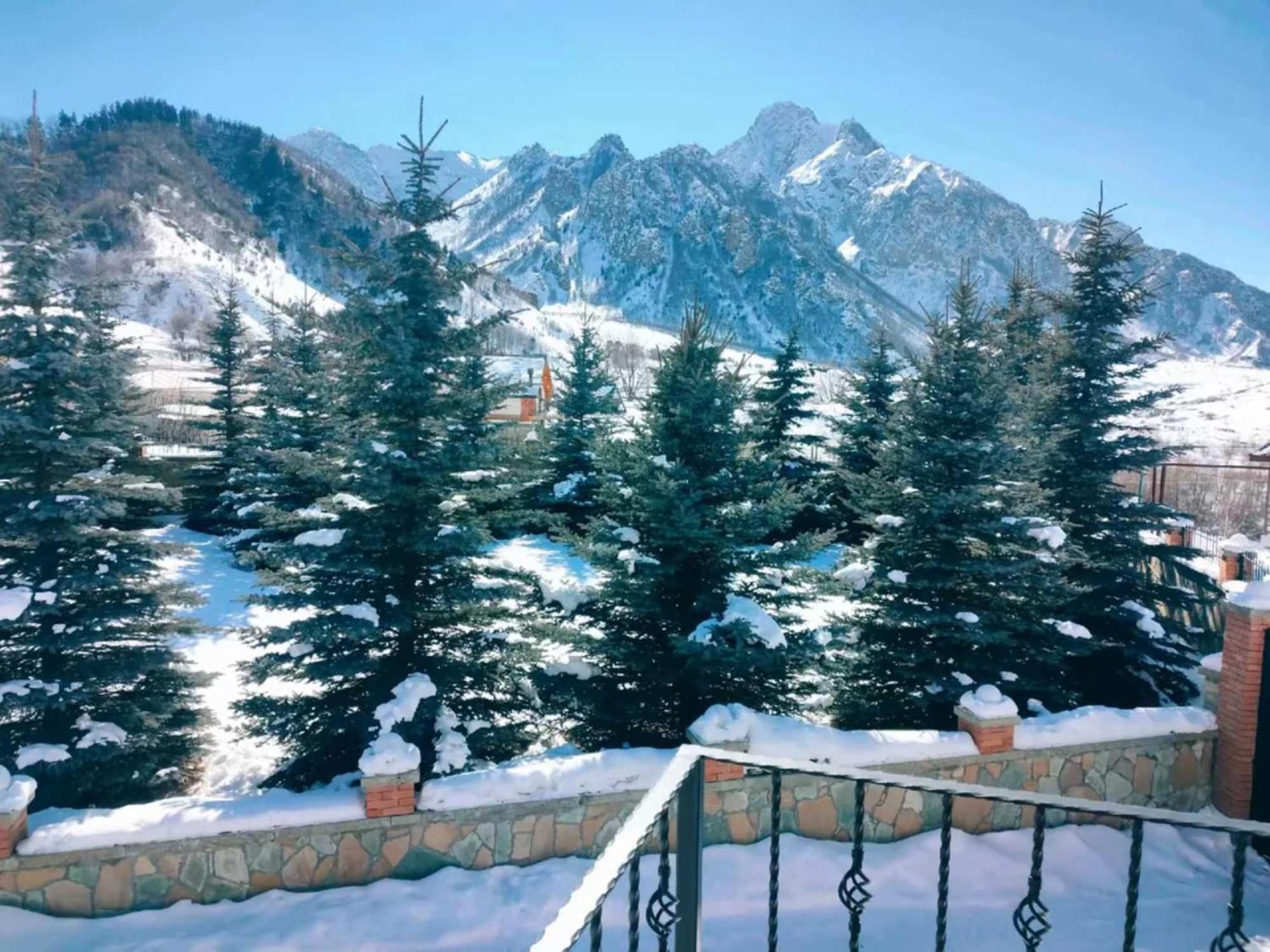Vardisubani Villa Kazbegi Eksteriør billede