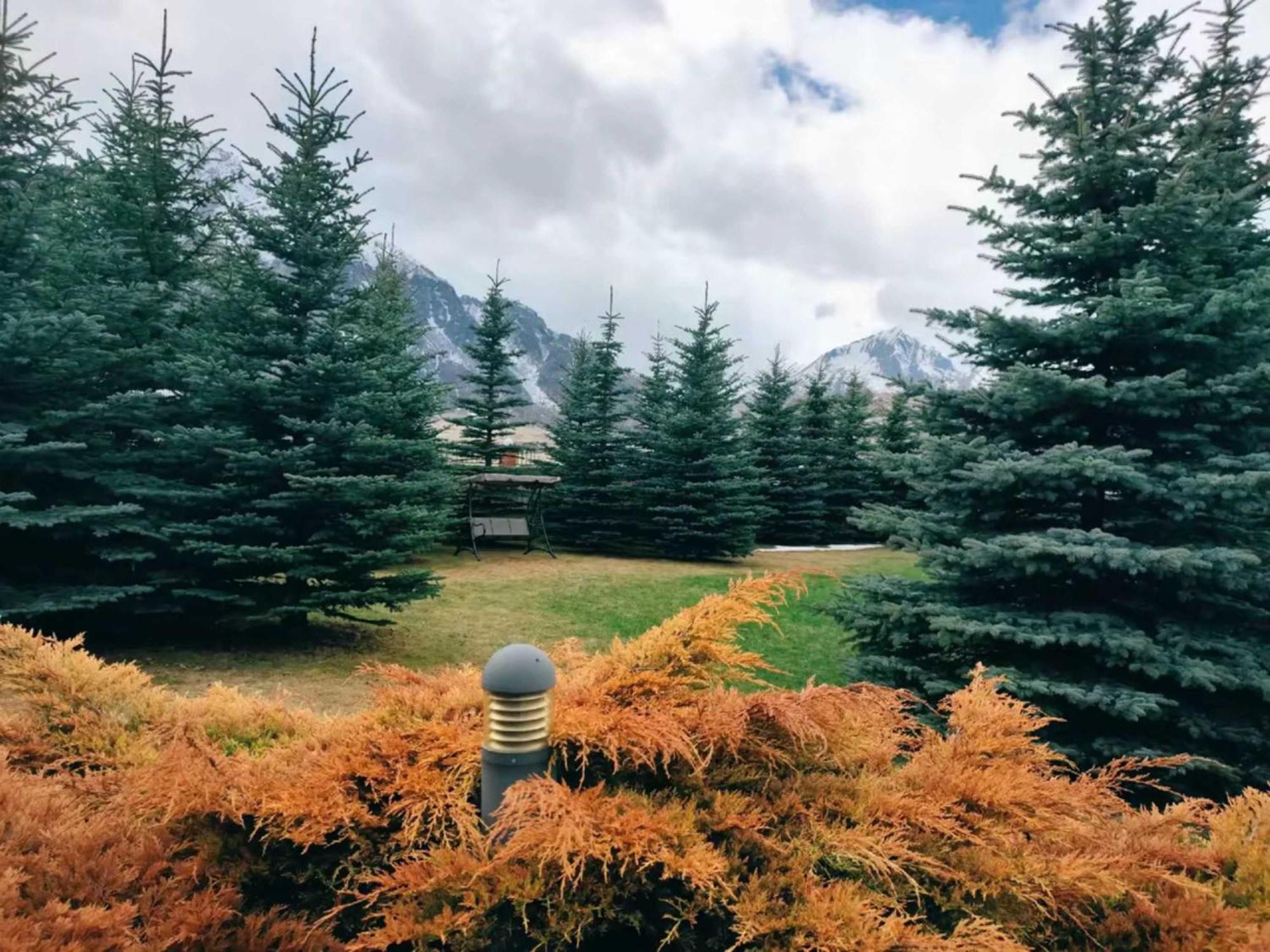 Vardisubani Villa Kazbegi Eksteriør billede