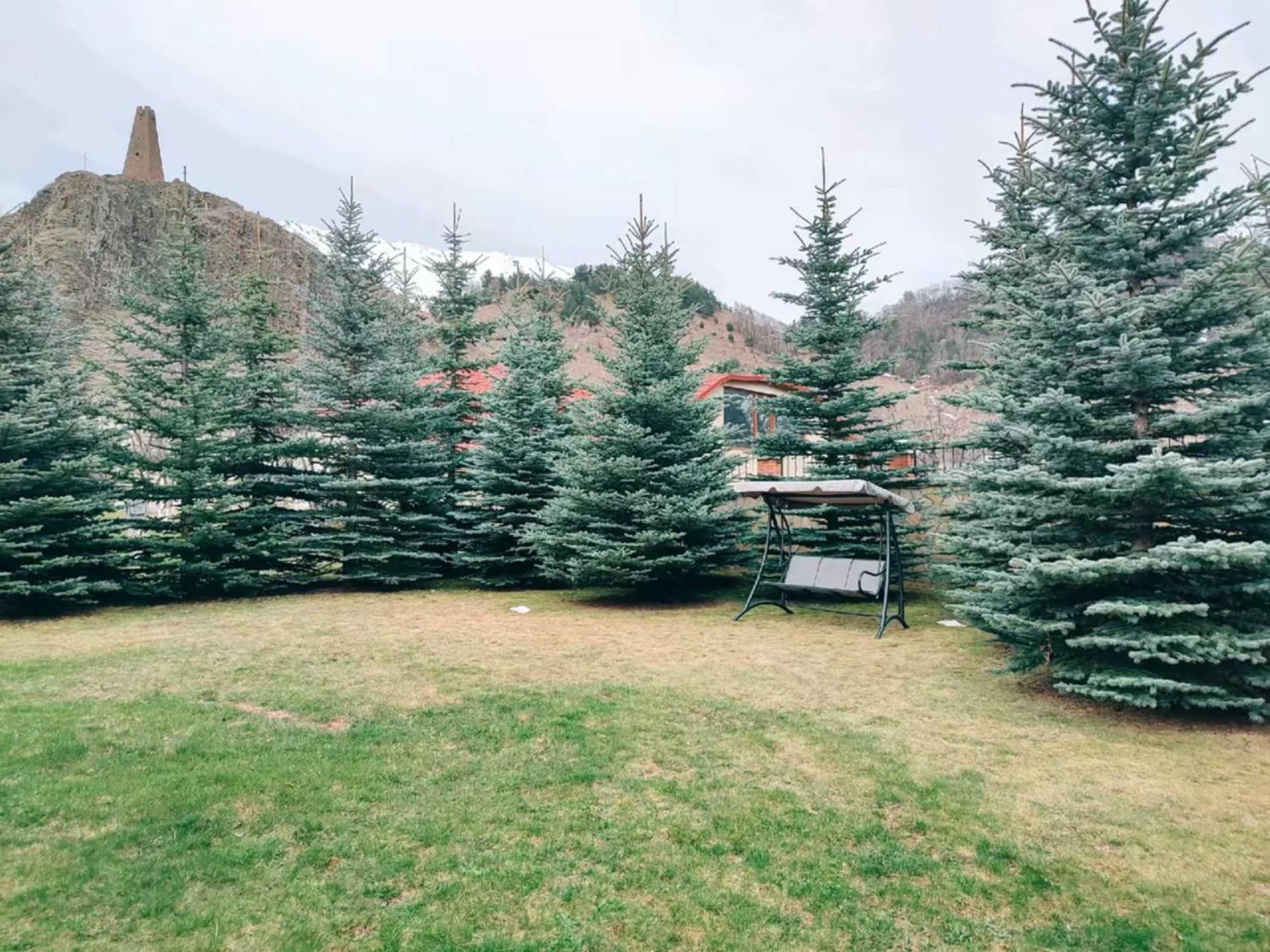 Vardisubani Villa Kazbegi Eksteriør billede