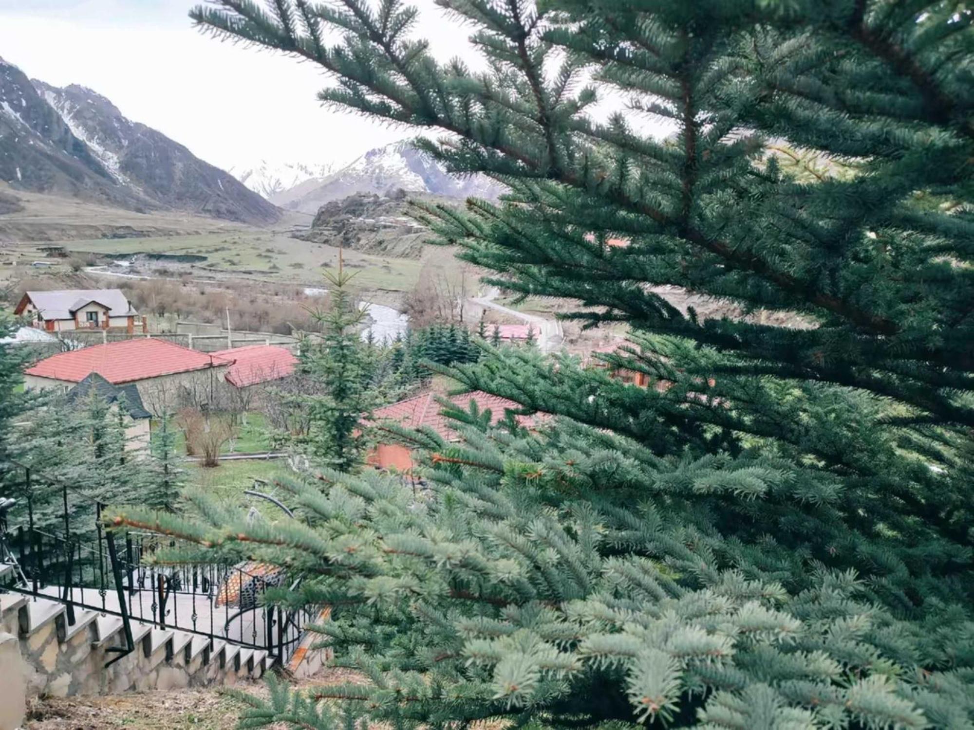 Vardisubani Villa Kazbegi Eksteriør billede