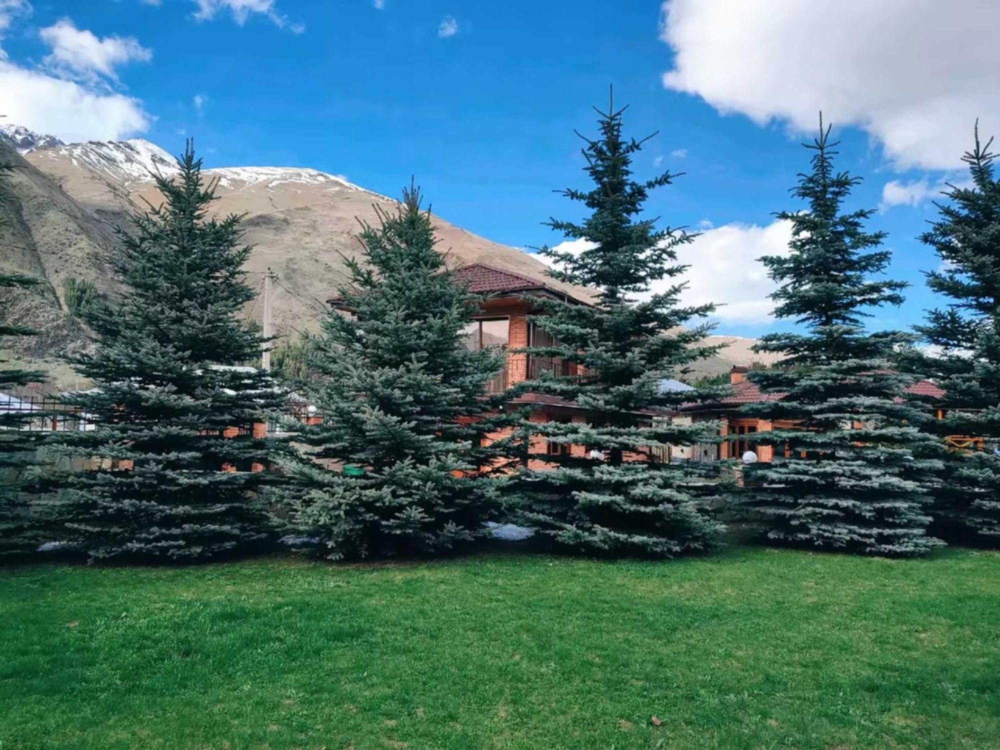 Vardisubani Villa Kazbegi Eksteriør billede